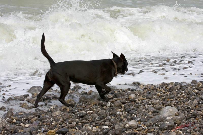 Cjp_2010_04_14_132934 (2).jpg